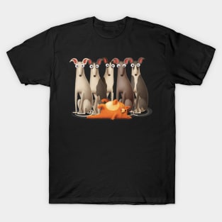 Cat and dogs T-Shirt